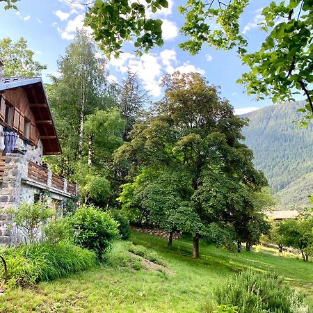 Chalet Le Tilleul Valdeblore Bagian luar foto
