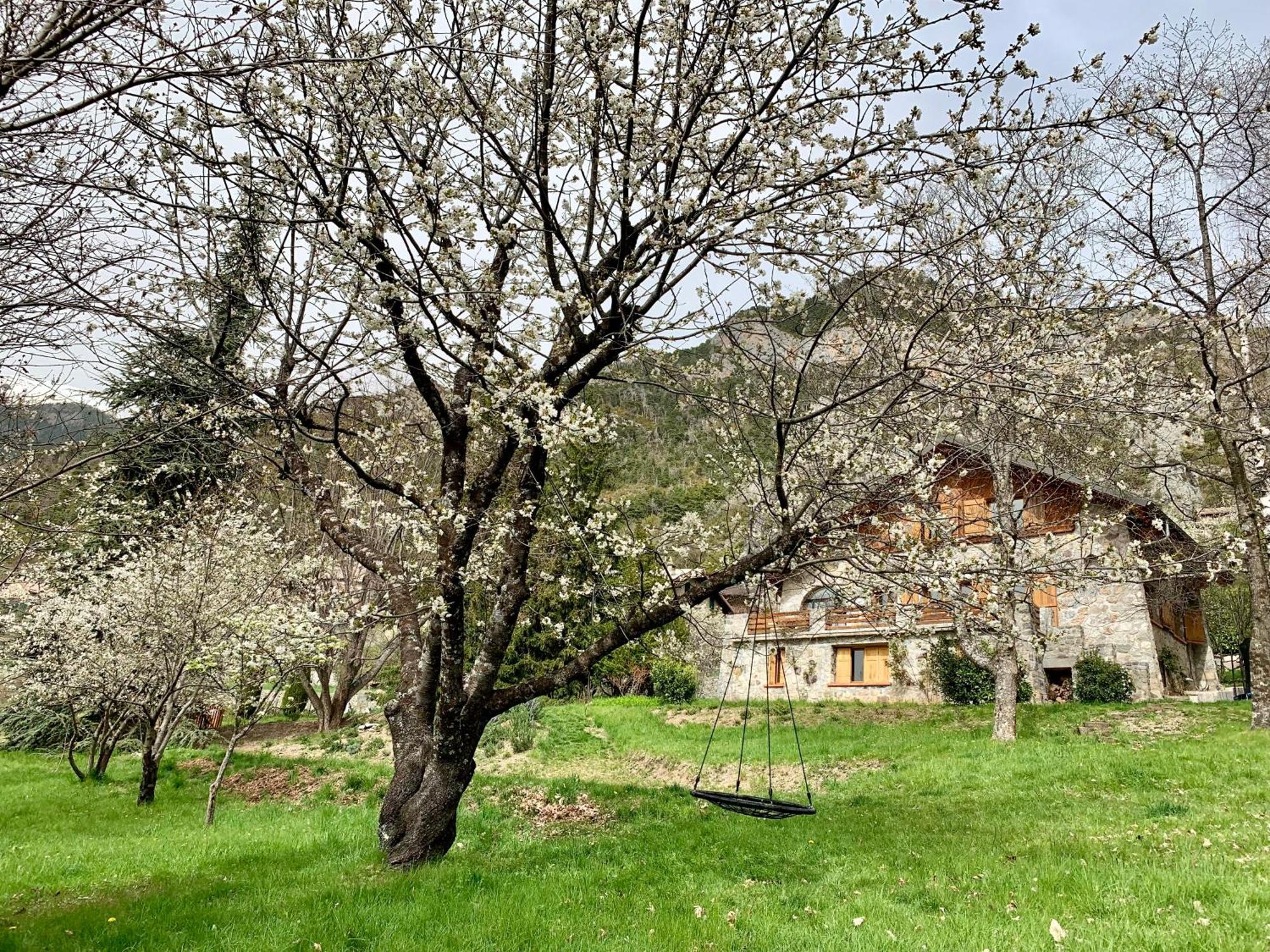 Chalet Le Tilleul Valdeblore Bagian luar foto